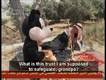 Farfour è morto - la fine dei 