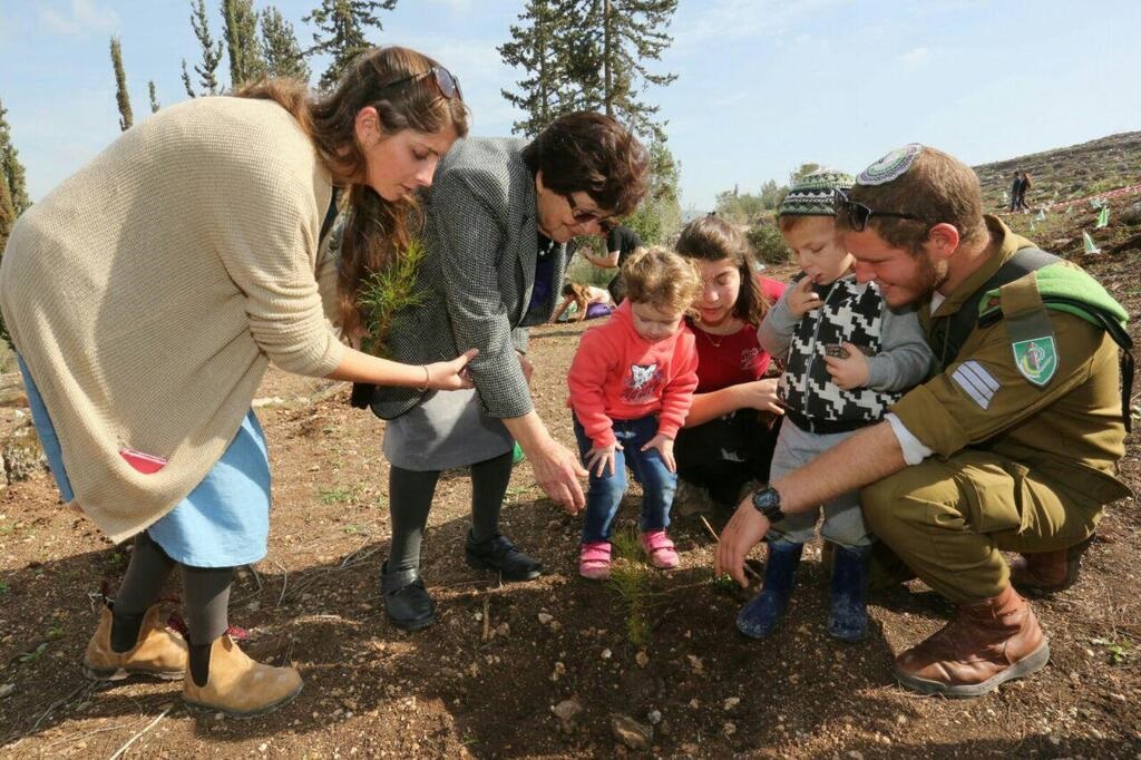 Vite, alberi e canti ebraici: se l’odio è tollerato